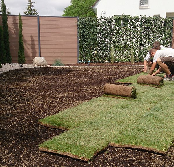 Aménagements extérieurs autour de Saint-Louis dans le Haut-Rhin Riedisheim 4